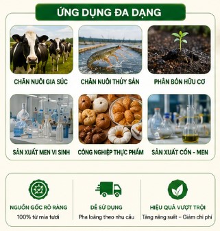 Ứng dụng mật rỉ đường