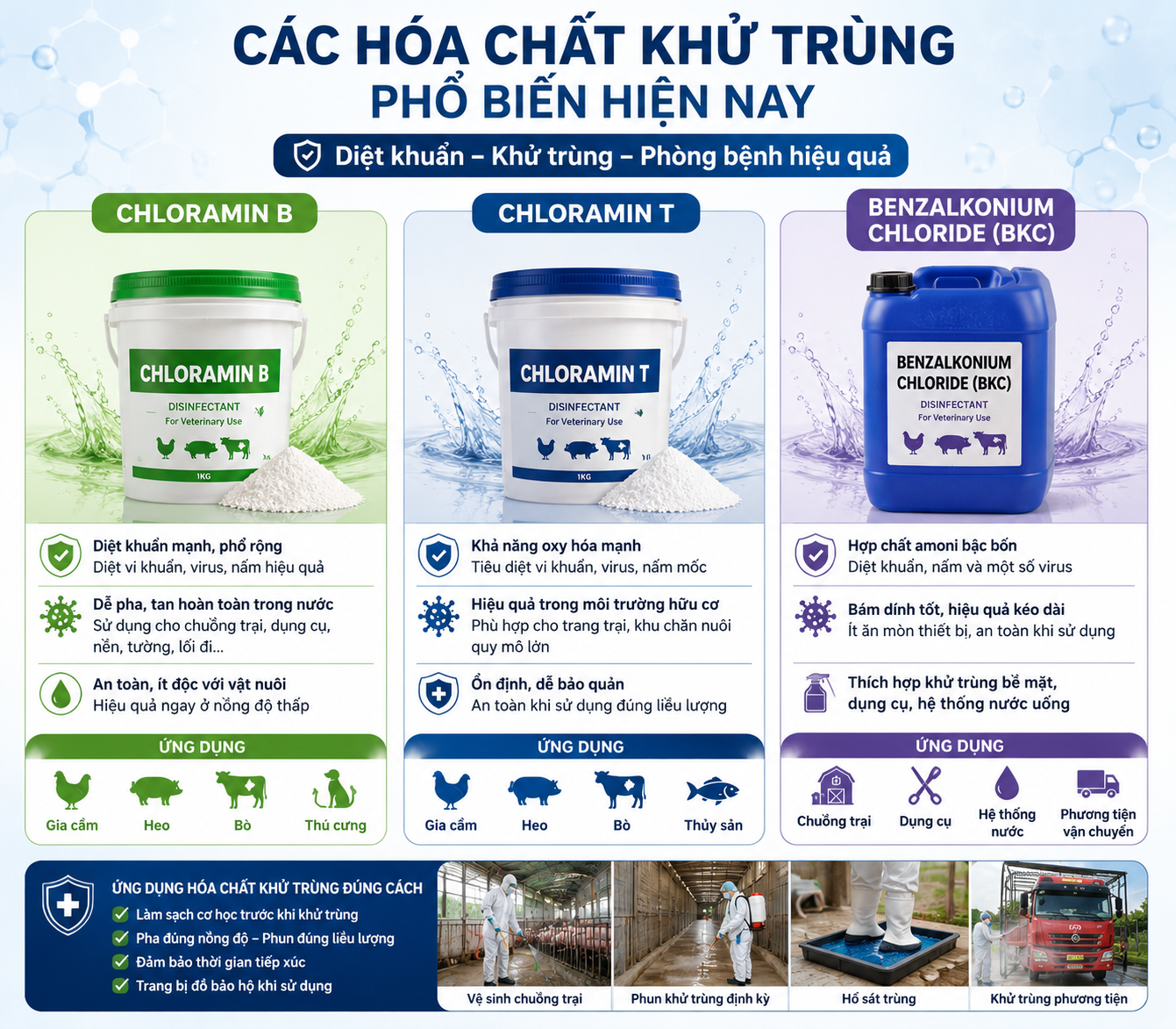 Các hóa chất khử trùng phổ biến hiện nay