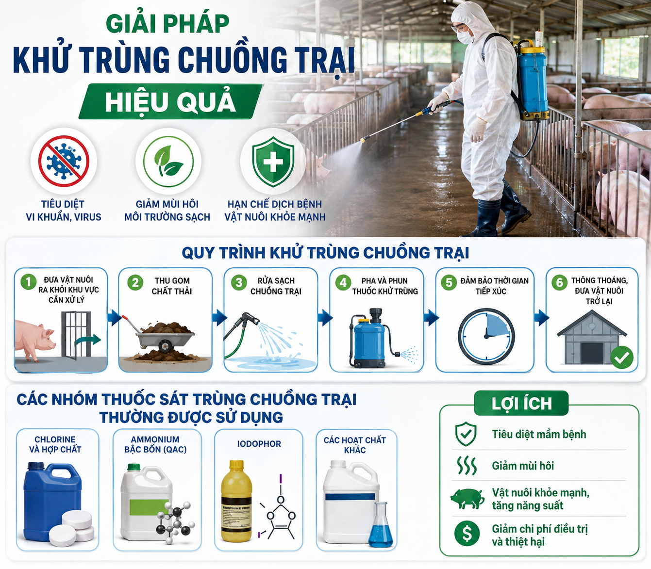 Giải Pháp Khử Trùng Chuồng Trại Hiệu Quả