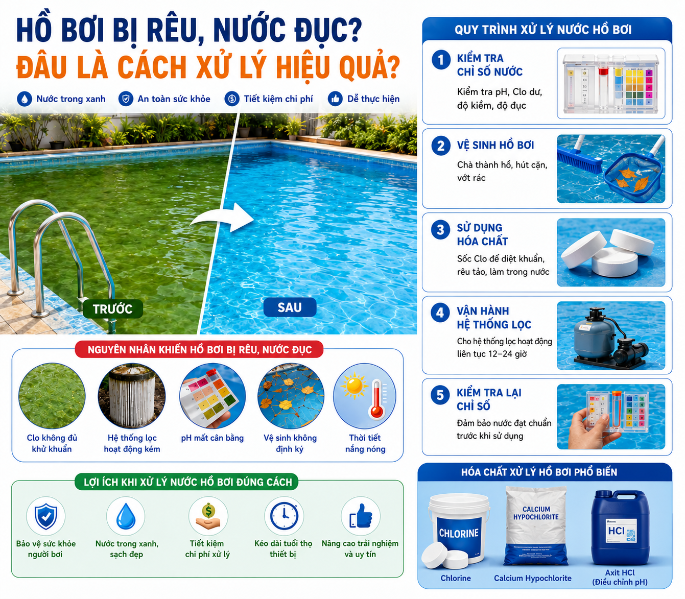 Hồ Bơi Bị Rêu Nước Đục