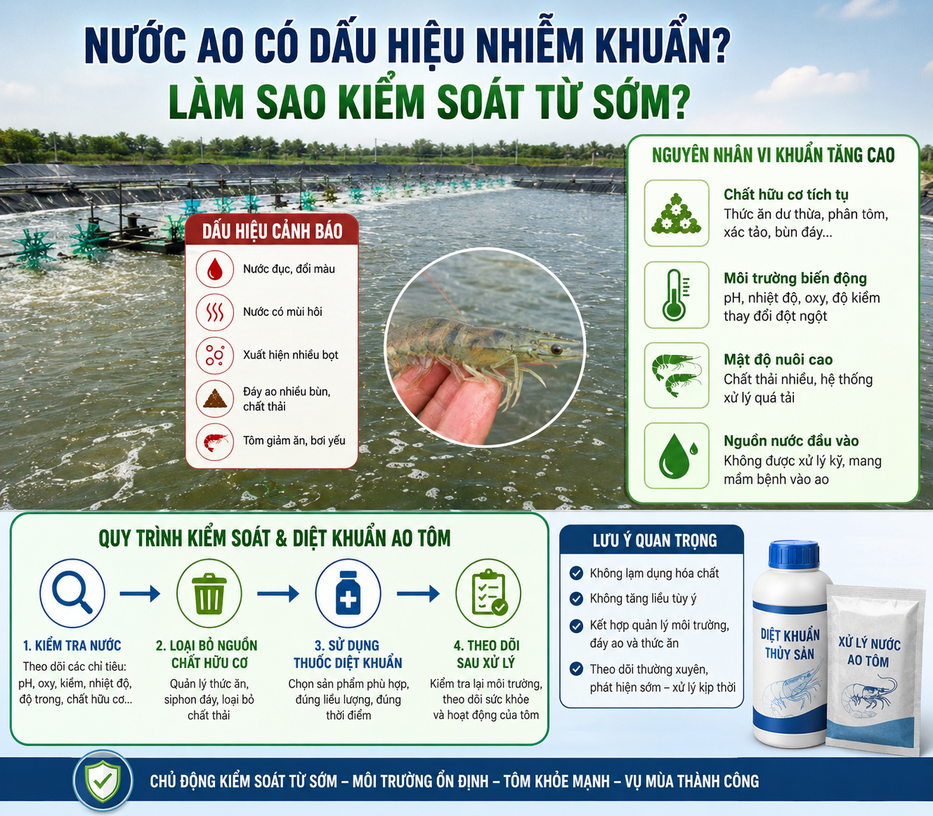 Nước Ao Có Dấu Hiệu Nhiễm Khuẩn