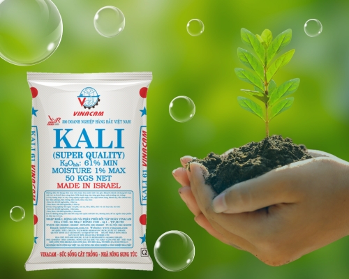 Vai trò của phân kali