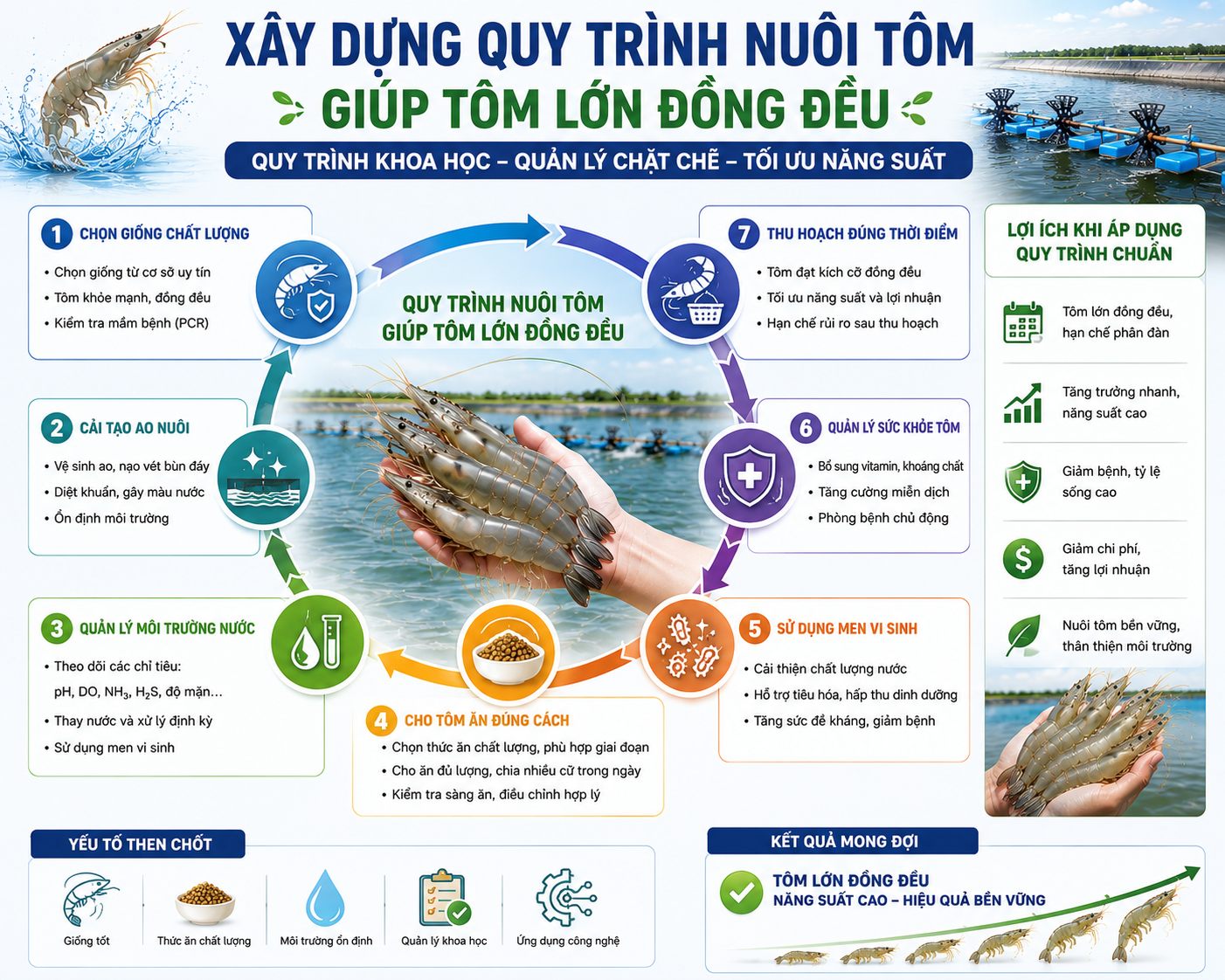 Xây dựng quy trình nuôi tôm