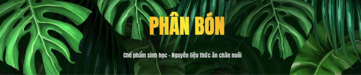 banner-phan-bon-02-3788 1200x250