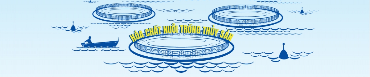 banner-thuy-san-05-5232 1200x250