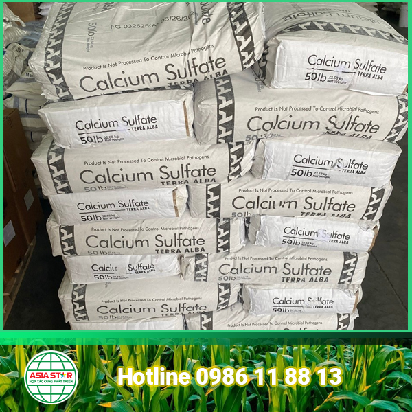 Calcium Sulfate | Canxi Sunphat | E516