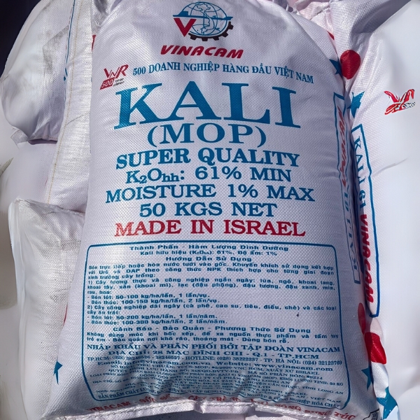 Kali (MOP) – Phân Bón Chuyên Dụng, Hàm Lượng K₂O 61%, Nhập Khẩu Israel