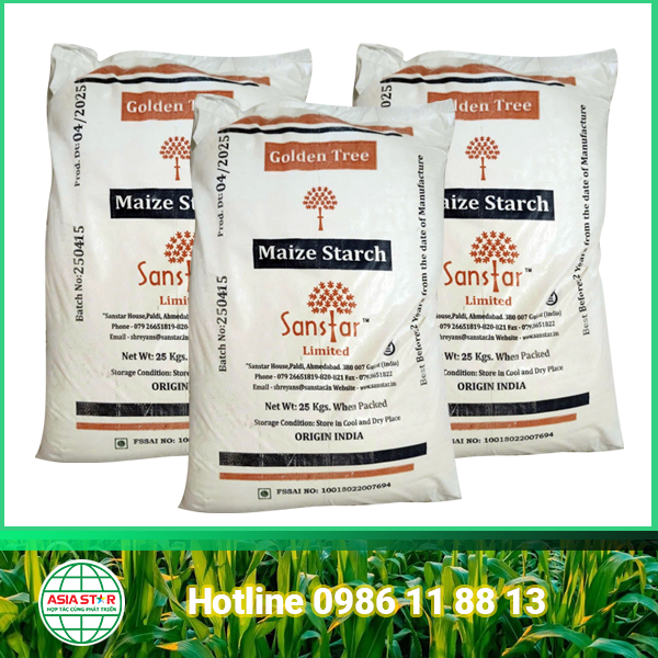 Maize Starch | Tinh Bột Bắp Ấn Độ | Corn Starch