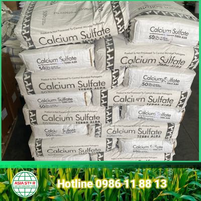 Calcium Sulfate | Canxi Sunphat | E516
