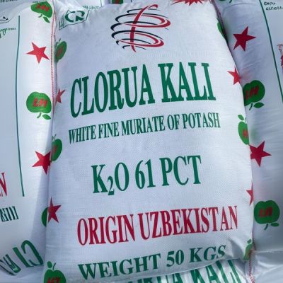 Clorua Kali (KCl) – Phân Bón Kali 61% K₂O Xuất Xứ Uzbekistan
