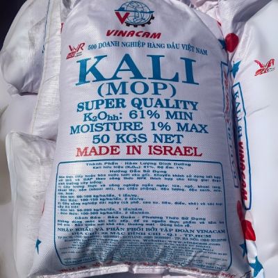 Kali (MOP) – Phân Bón Chuyên Dụng, Hàm Lượng K₂O 61%, Nhập Khẩu Israel