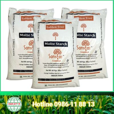 Maize Starch | Tinh Bột Bắp Ấn Độ | Corn Starch