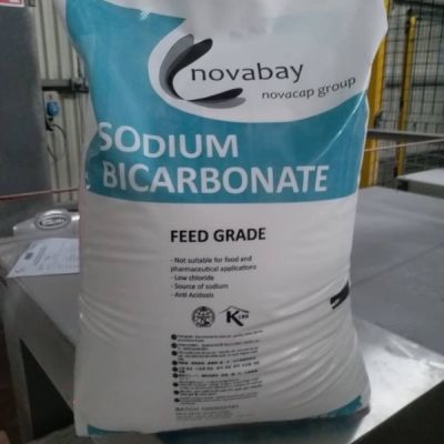 SODIUM BICARBONATE SINGAPORE – CHẤT LƯỢNG ỔN ĐỊNH, AN TOÀN CHO THỨC ĂN CHĂN NUÔI
