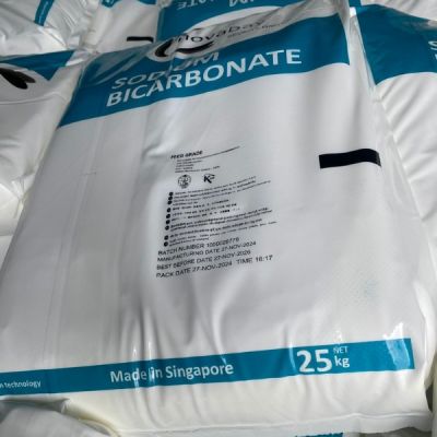 SODIUM BICARBONATE SINGAPORE – CHẤT LƯỢNG ỔN ĐỊNH, AN TOÀN CHO THỨC ĂN CHĂN NUÔI