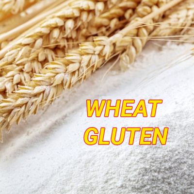 Wheat Gluten  | Phụ Gia Tạo Cấu Trúc Thực Phẩm