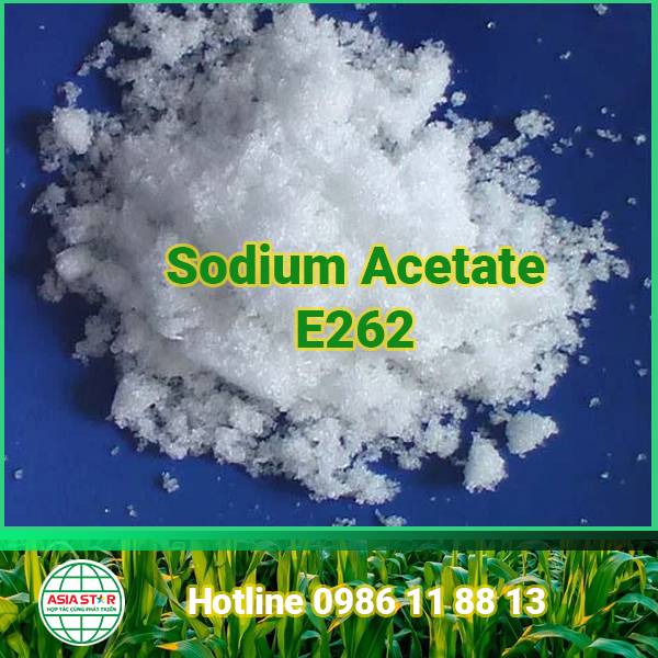 Sodium Acetate E262 | Phụ Gia Điều Vị - Chất Đệm pH