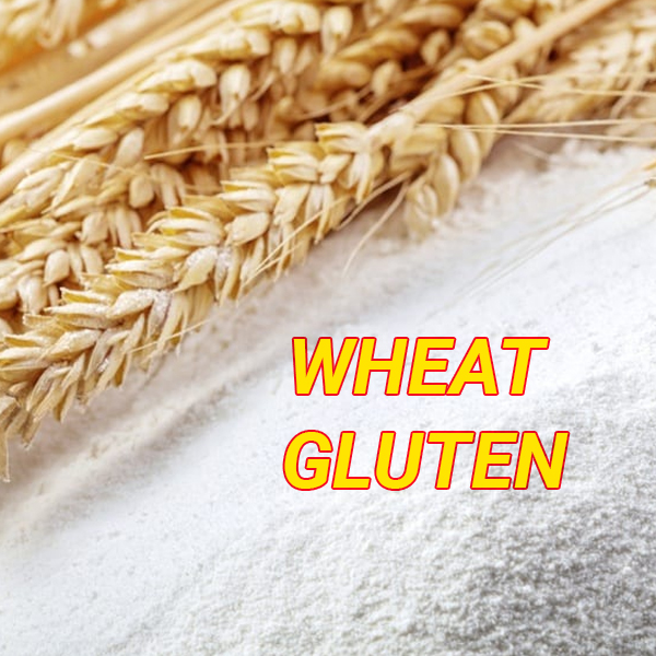 Wheat Gluten | Phụ Gia Tạo Cấu Trúc Thực Phẩm