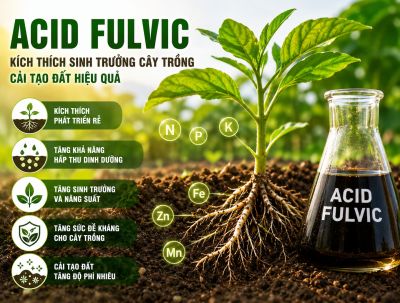 Acid Fulvic &ndash; Giải Ph&aacute;p K&iacute;ch Th&iacute;ch Sinh Trưởng C&acirc;y Trồng V&agrave; Cải Tạo Đất Hiệu Quả