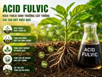 Acid Fulvic &ndash; Giải Ph&aacute;p K&iacute;ch Th&iacute;ch Sinh Trưởng C&acirc;y Trồng V&agrave; Cải Tạo Đất Hiệu Quả