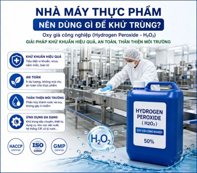 Nh&agrave; M&aacute;y Thực Phẩm N&ecirc;n D&ugrave;ng G&igrave; Để Khử Tr&ugrave;ng?