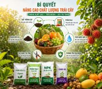 L&agrave;m Thế N&agrave;o Để N&acirc;ng Cao Chất Lượng Tr&aacute;i C&acirc;y