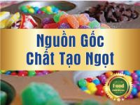 Nguồn gốc chất ngọt nh&acirc;n tạo