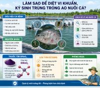 L&agrave;m Sao Để Diệt Vi Khuẩn, K&yacute; Sinh Tr&ugrave;ng Trong Ao Nu&ocirc;i C&aacute;?