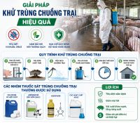 Giải Ph&aacute;p Khử Tr&ugrave;ng Chuồng Trại Hiệu Quả?