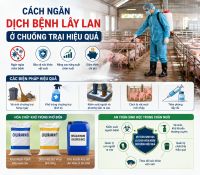 C&aacute;ch Ngăn Dịch Bệnh L&acirc;y Lan Ở Chuồng Trại Hiệu Quả