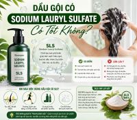 Dầu Gội C&oacute; Sodium Lauryl Sulfate C&oacute; Tốt Kh&ocirc;ng?