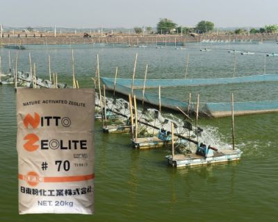 NITTO ZEOLITE #70 – ZEOLITE HOẠT TÍNH TỰ NHIÊN NHẬT BẢN CAO CẤP