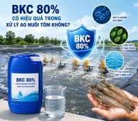 BKC 80% C&oacute; Hiệu Quả Trong Xử L&yacute; Ao Nu&ocirc;i T&ocirc;m Kh&ocirc;ng?