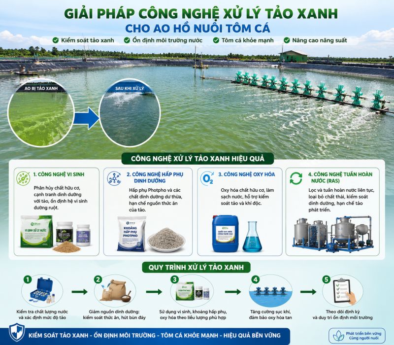 C&ocirc;ng Nghệ Xử L&yacute; Tảo Xanh Được Nhiều Trang Trại Tin D&ugrave;ng