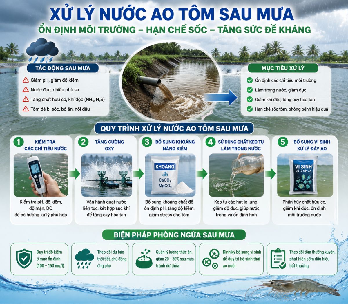 Xử L&yacute; Nước Ao T&ocirc;m Sau Mưa Hiệu Quả, Hạn Chế Sốc M&ocirc;i Trường