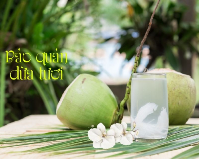 K&eacute;o d&agrave;i tuổi thọ dừa tươi: Học ngay b&iacute; k&iacute;p bảo quản hiệu quả