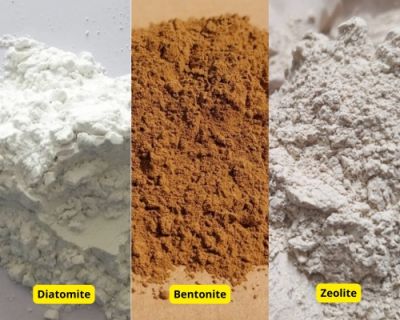 Diatomite – Bentonite – Zeolite: Bộ ba khoáng chất “đa năng” trong xử lý môi trường và sản xuất công nghiệp