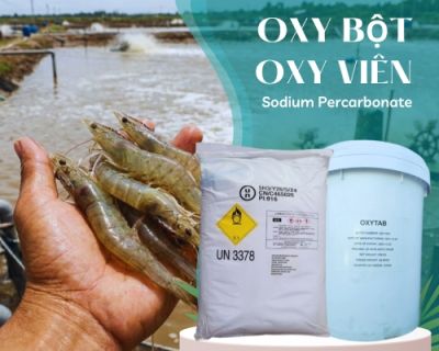 Sodium Percarbonate (Oxy Vi&ecirc;n/Bột) &ndash; Chất Tẩy Oxy Kh&ocirc;ng Clo, An To&agrave;n