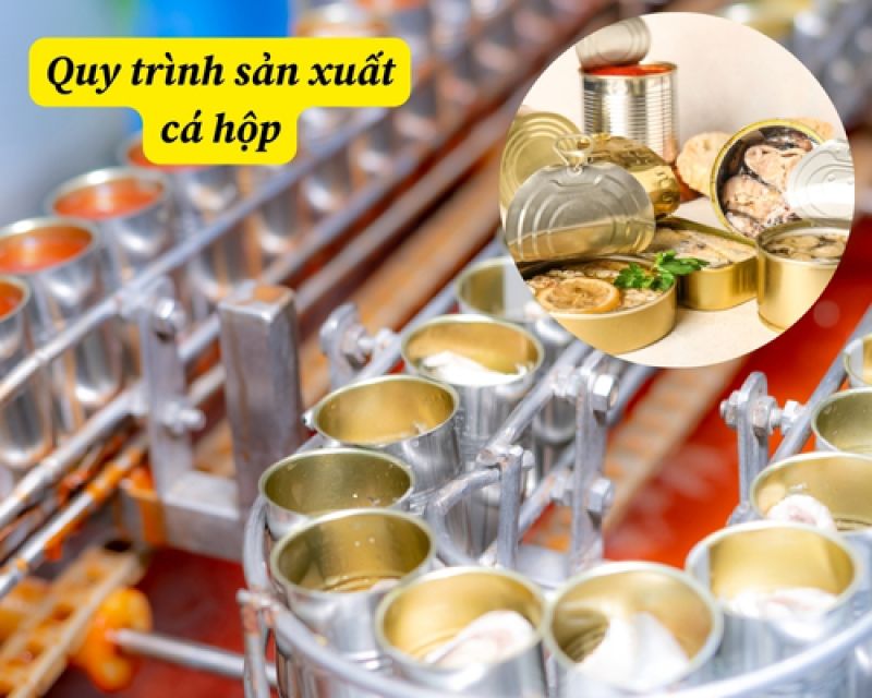Quy tr&igrave;nh sản xuất c&aacute; hộp: Từ nguy&ecirc;n liệu đến th&agrave;nh phẩm