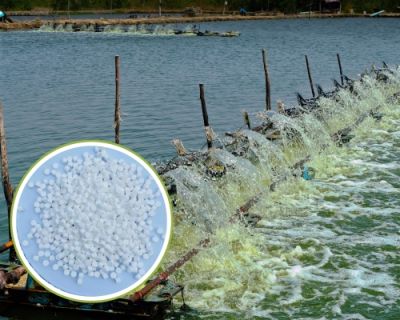 OXY VIÊN – VIÊN OXY CUNG CẤP KHÍ OXY ỔN ĐỊNH CHO THỦY SẢN, HỒ CÁ, AO NUÔI