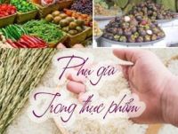 Phụ Gia Thực Phẩm L&agrave; G&igrave;? Vai Tr&ograve; Quan Trọng Trong Chế Biến Thực Phẩm