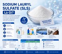 SODIUM LAURYL SULFATE (SLS) L&agrave; G&igrave;?
