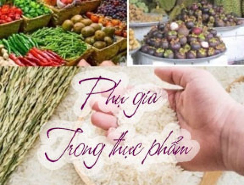 Nguồn Phụ Gia Thực Phẩm Chất Lượng Cao, Gi&aacute; Cạnh Tranh