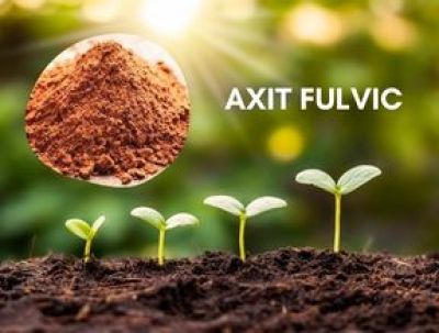 Axit Fulvic Bí mật cho năng suất canh tác bền vững