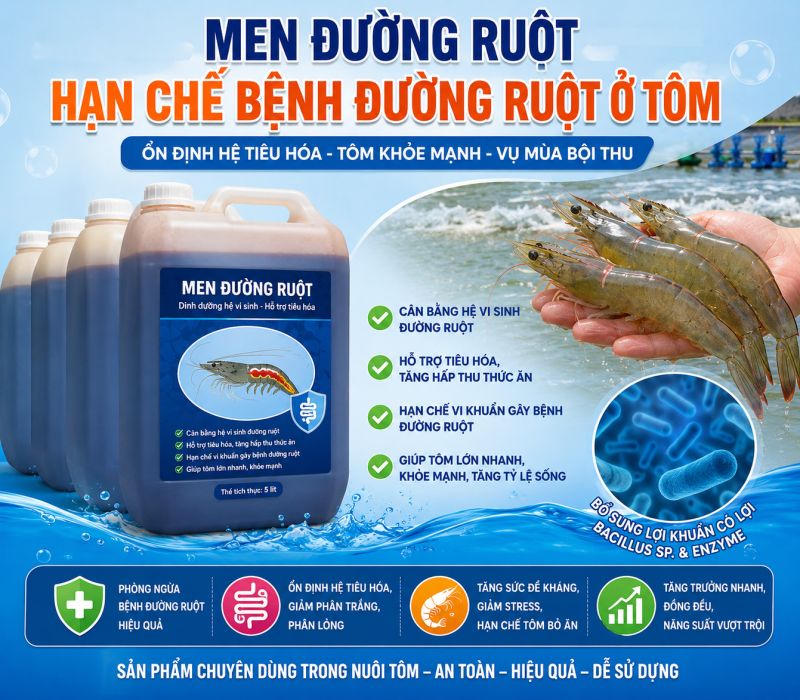 Cải Tạo Đ&aacute;y Ao - Hạn Chế Bệnh Đường Ruột Ở T&ocirc;m
