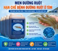 Cải Tạo Đ&aacute;y Ao - Hạn Chế Bệnh Đường Ruột Ở T&ocirc;m
