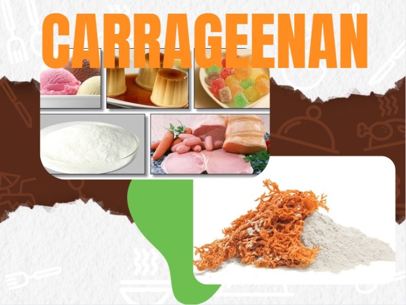 T&aacute;c Dụng Của Phụ Gia Carrageenan Trong Ng&agrave;nh Thực Phẩm
