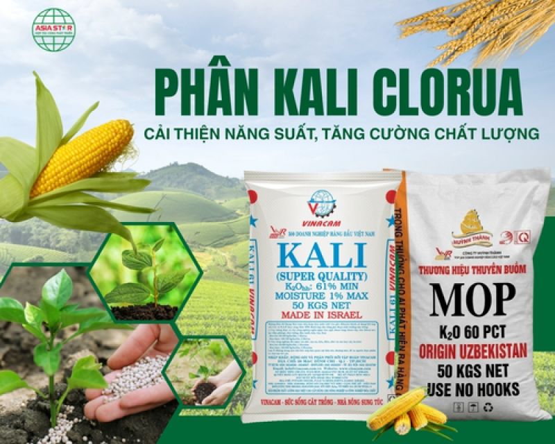Ph&acirc;n Kali &ndash; C&ocirc;ng Dụng, Ph&acirc;n Loại V&agrave; Vai Tr&ograve; Đối Với C&acirc;y Trồng