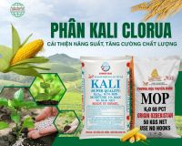Ph&acirc;n Kali &ndash; C&ocirc;ng Dụng, Ph&acirc;n Loại V&agrave; Vai Tr&ograve; Đối Với C&acirc;y Trồng