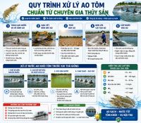 Quy Tr&igrave;nh Xử L&yacute; Ao T&ocirc;m Chuẩn Từ Chuy&ecirc;n Gia Thủy Sản