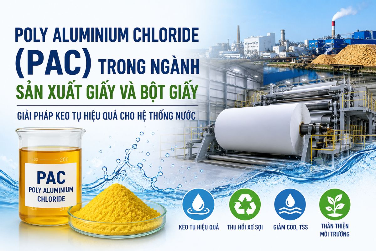 Poly Aluminium Chloride (PAC) Trong Ng&agrave;nh Sản Xuất Giấy V&agrave; Bột Giấy: Giải Ph&aacute;p Keo Tụ Hiệu Quả Cho Hệ Thống Nước